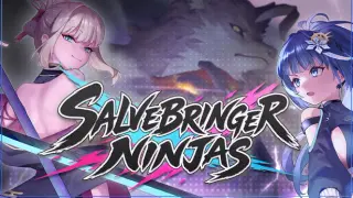 Salvebringer Ninjas