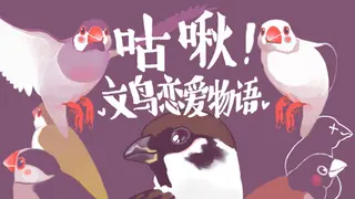 咕啾！文鸟恋爱物语 Love Story of Sparrow