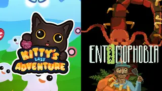 🐈⬛ Kitty's Last Adventure × Entomophobia 🐛