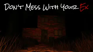 Don't Mess With Your Ex