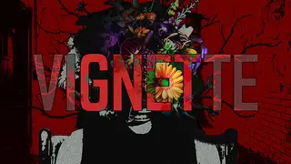 VIGNETTE