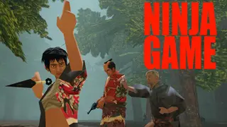 Ninja Game