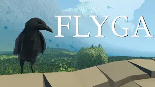 Flyga