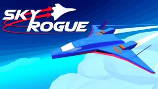 Sky Rogue