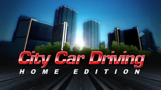 City Car Driving