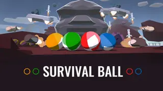 Survival Ball