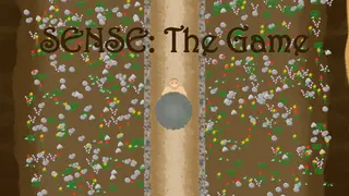 SENSE: The Game