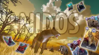 Nidos