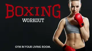 VR Boxing Workout