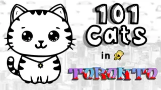 101 Cats in Toronto