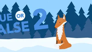 True or False 2 Special