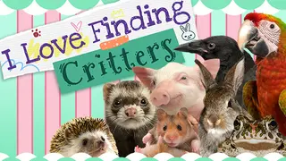 I Love Finding Critters