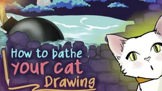 How To Bathe Your Cat: Drawing