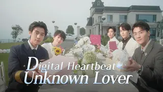Digital Heartbeat:Unknown Lover