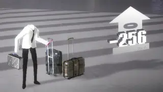 -256