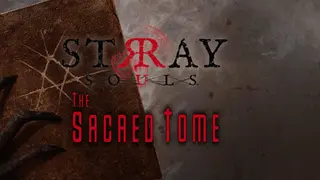 Stray Souls: The Sacred Tome