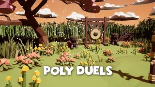 Poly Duels