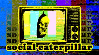 Social Caterpillar