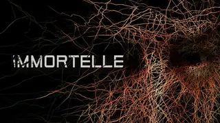 Immortelle