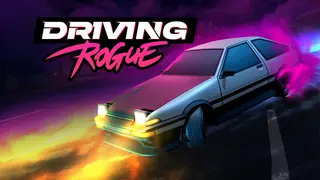 Driving Rogue