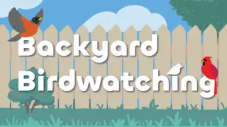 Backyard Birdwatching