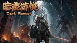 暗夜游侠