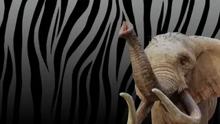 Zoo Simulator - Xbox Series