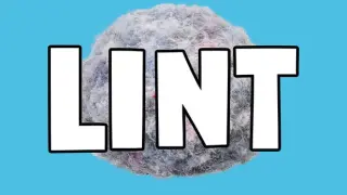 Lint