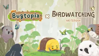The early birds catch the bugs
