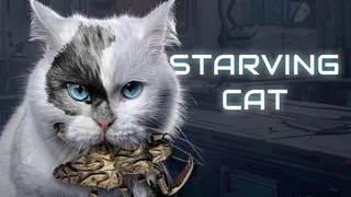 Starving Cat