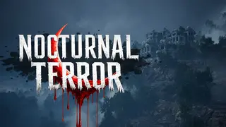 Nocturnal Terror