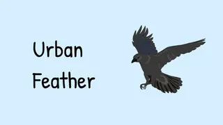 Urban Feather