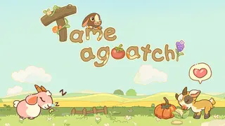 Tame-a-goat-chi