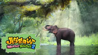 Wildlife in the Spotlight - Switch