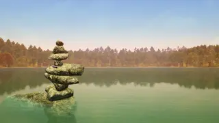 Walden, a game (Xbox One)