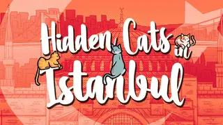 Hidden Cats in Istanbul