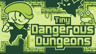 Tiny Dangerous Dungeons