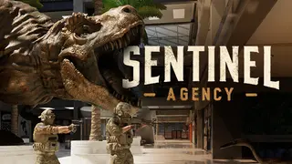 Sentinel Agency