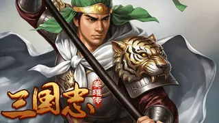 三国志之姜维传