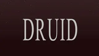 DRUID package