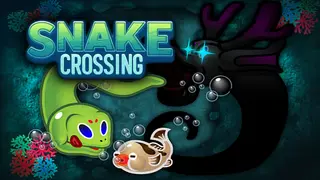 Snake Crossing
