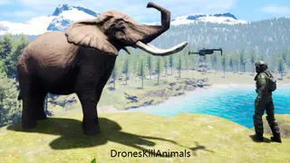 DronesKillAnimals