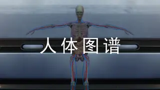 人体图谱