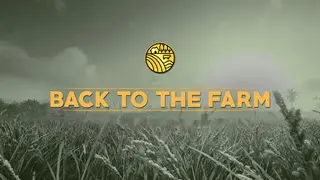 Back to the Farm