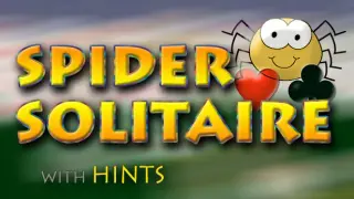 Casual Spider Solitaire