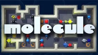 Molecule - a chemical challenge