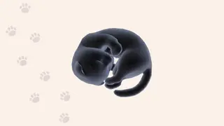 Aabs Animals - Xbox One