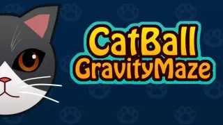 CatBallGravityMaze