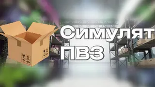 Симулятор ПВЗ