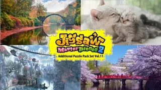Additional Puzzle Pack Set Vol.11 - Switch